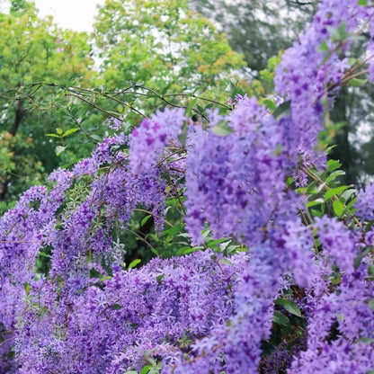 💙🩵Blue Flower Vine - Dreamy Blue and Purple Waterfall